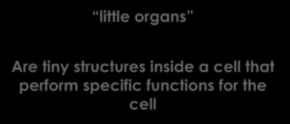 What are organelles?