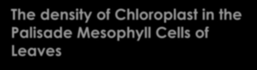The density of Chloroplast in the