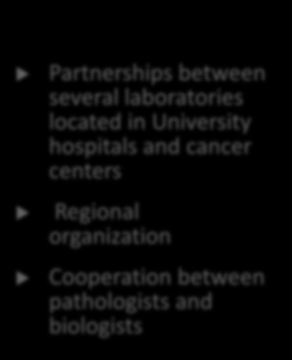 laboratories located in University hospitals and cancer centers Regional organization