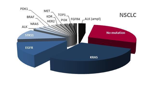 An increasing number of actionable molecular alterations Implementation of targeted NGS for diagnostics in the