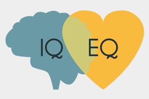 IT IS VERY IMPORTANT TO UNDERSTAND THAT EMOTIONAL INTELLIGENCE IS NOT THE OPPOSITE OF INTELLIGENCE, IT