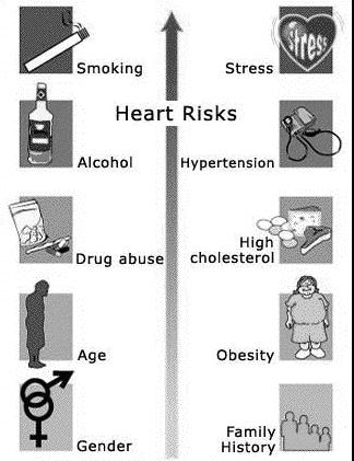 Obesity Physical inactivity Smoking Hypertension