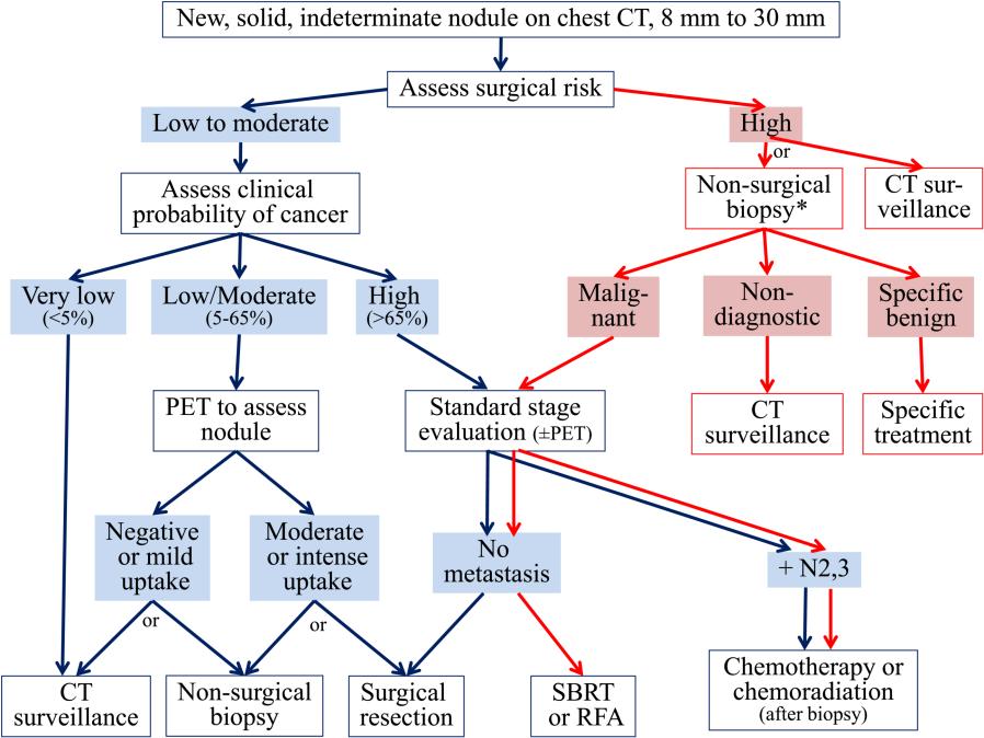 Management algorithm for individuals with solid nodules measuring 8 to 30 mm in diameter Figure Legend: [Sections 4.0, 4.