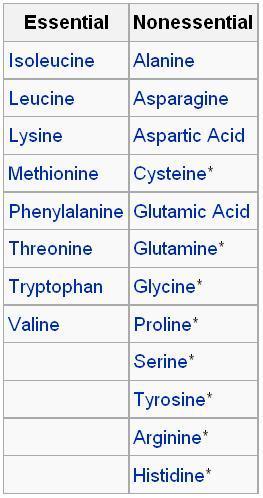 Essential Amino Acids nonessential amino acids: can be synthesized by the body essential