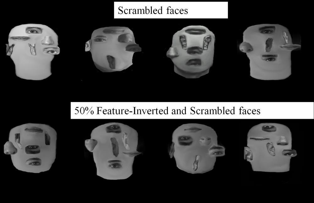 Figure.2.7.This shows the four configurations of scrambled faces and the four configurations of 50% Feature-Inverted and Scrambled faces used in Experiment 4. 3.5.1.