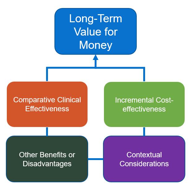 Figure 7.1. Conceptual Structure of Long-Term Value for Money 7.