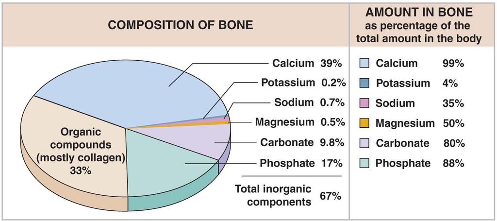 Calcium Homeostasis Figure 6
