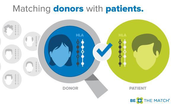 Unrelated Donors Majority of patients do not have HLA-compatible related donor (~70%) National and international registries provide