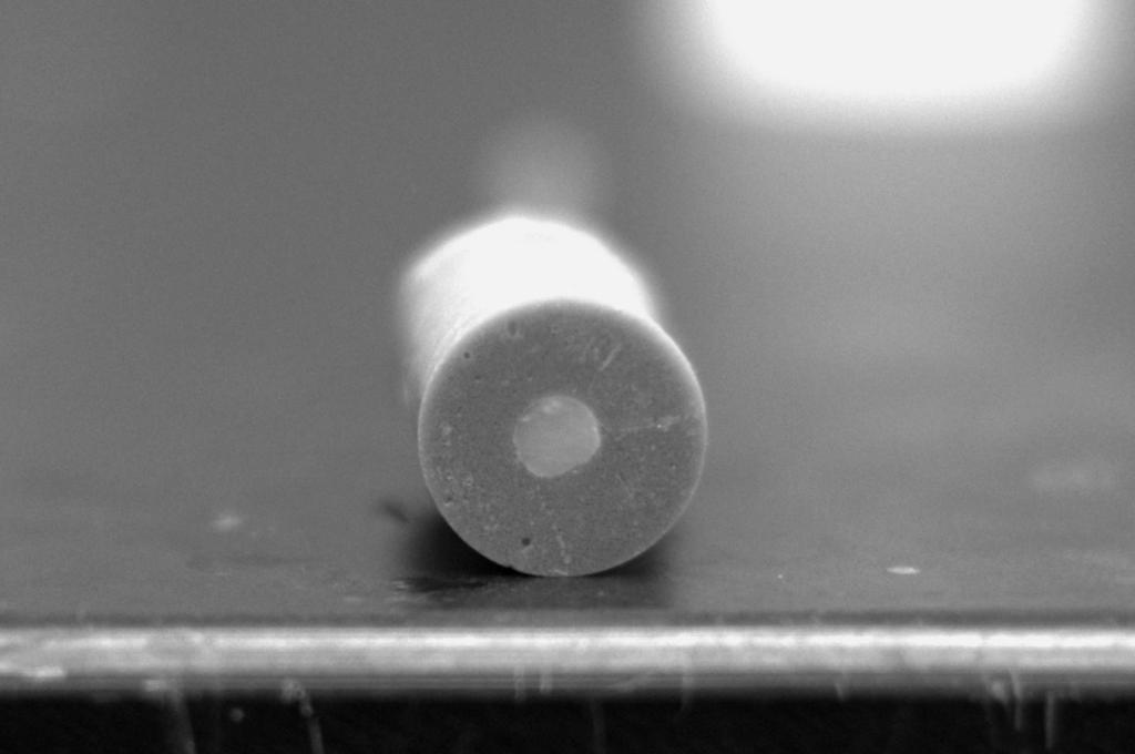 Figure 2b: The enamel core was set in acrylic to maintain a 3 mm surface area of enamel exposure. The specimen was then polished before being exposed to demineralizing solution. 2.10.