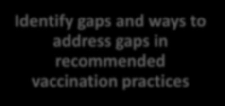 Objectives Identify gaps and ways to address gaps in recommended vaccination practices Encourage use of a combination of