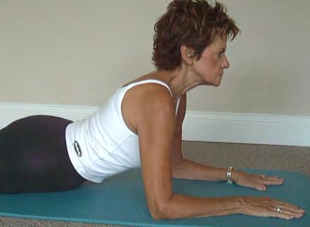 Lumbar Extension 1/2 Lying on stomach, use elbows and hands to raise upper body off the