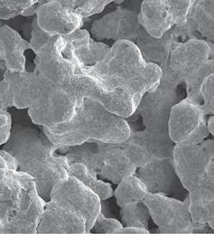 BI-METRIC XR SERIES implant technology Figure 1 Above is an SEM photograph at 100x magnification showing PPS plasma spray porous coating.