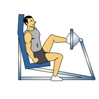 Repeat with the other leg. Single Leg Horizontal Leg Press Single Leg Horizontal Leg Press 1.
