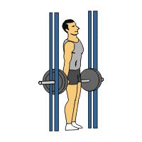 Front Squat (smith) Front Squat (smith) 1) Step under bar and position bar across anterior deltoids. Cross arms across each other so that your hands are touching opposite shoulders.