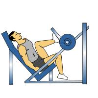 Seated Knee Extension Seated Knee Extension Sit in machine and place your shins behind the pad.