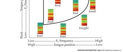 c c Λ Λ α α Λ α c 250 500 1000 1500 F1 F1 Frequency (Hz) 200 300 400 600 800 1000 200 F1 frequency (Hz) 11 Vowel Sounds of English Classifying speech sounds described in terms of articulation Place
