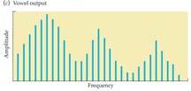 Spectrogram Spectral analysis of speech Why perform a frequency analyses of speech? Spectral analysis of speech But: the ear is not a spectrum analyzer.