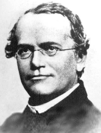 Genetics was founded by an Austrian monk named Gregor Mendel.