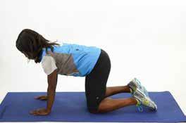 10) Bird Dog (back muscles) For an alternative see exercise 10A Equipment: Exercise mat Step 1: Get onto your hands and knees on an exercise mat.