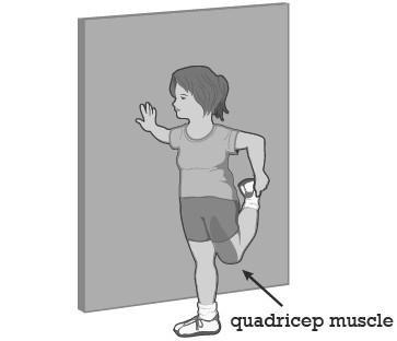 3) Thigh Stretch (Quadricep Muscle) Ø Ø Using a wall for support, stand sideways to the wall Take hold of your ankle, foot, sock, or pant leg as you bend your leg back from the knee (see figure) Ø