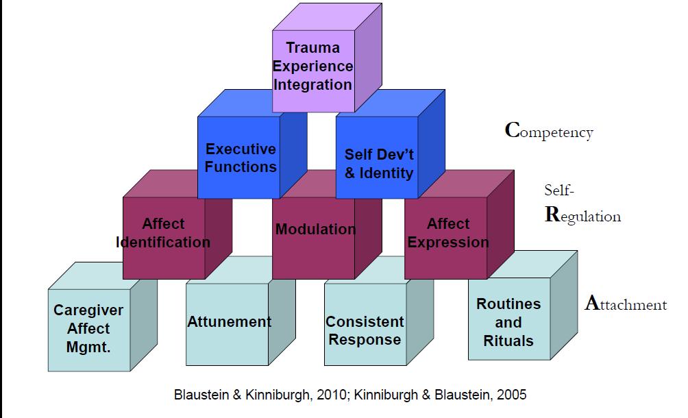 Therapy for Complex Trauma Attachment, Self Regulation and Competency (ARC) Attachment: Caregiver Affect Mgt Attunement Consistent Response Routines and Rituals Self-Regulation Affect