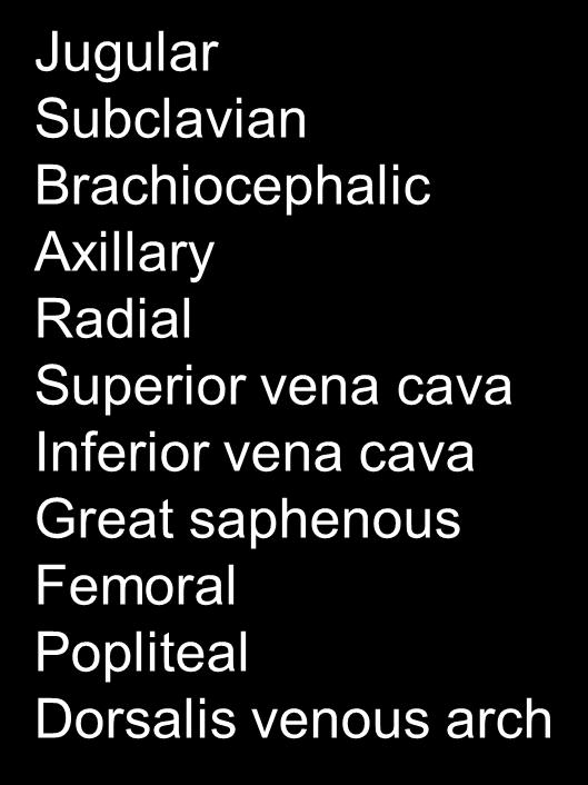 Veins to Know Jugular Subclavian Cephalic Brachial Basilic