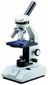 Microscopes Light Microscopes Light microscope enable us to see images of