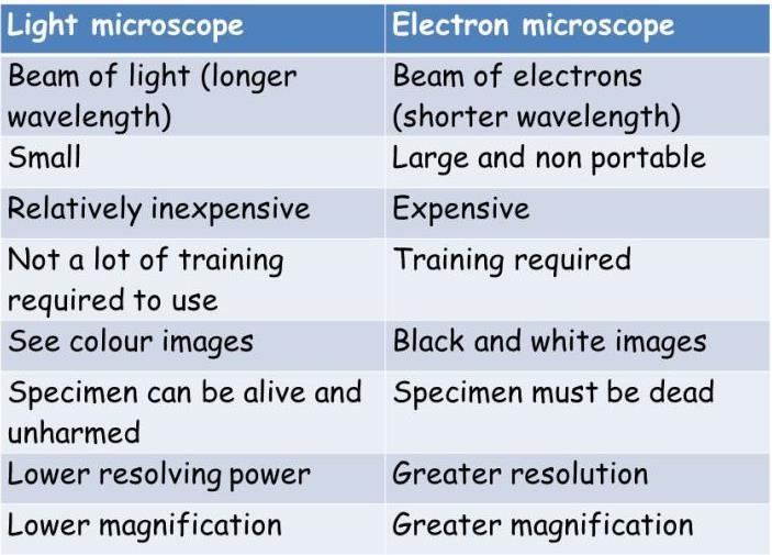 eye. Electron Microscopes Electron microscopes use an electron beam focused