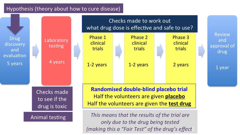 Developing drugs Preclinical Testing Clinical trials: Testing on cells and animals Healthy volunteers, checking for side effects.
