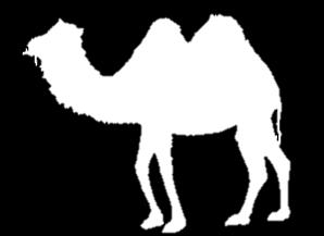 7. CAMEL a. What does burning fat provide for an animal? b. This can be used by the animal as a substitution for and. c. Would it be a problem if a camel stored fat all over its body?