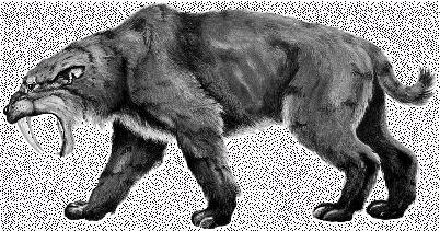 9. SABER-TOOTHED CAT a. What adaptation did the saber-toothed cat have to live in its environment? b. What did they eat? c. What kept the saber-toothed cat catching smaller prey?