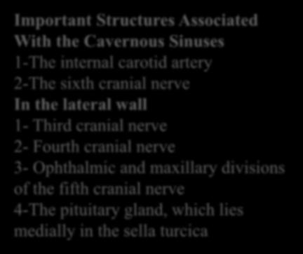 2-The sixth cranial nerve In the lateral wall 1-