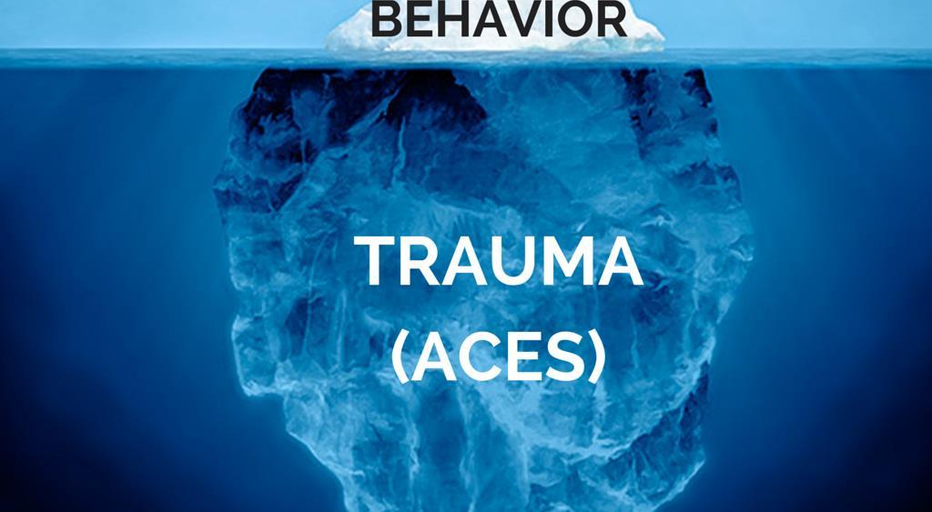 The Iceberg Approach When we see a child with a traumatic affect, we are seeing tip of an iceberg that