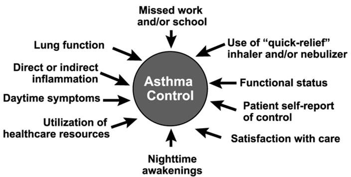 Assessment of Risk Classification of Asthma Severity: Based on