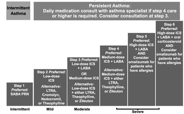 6 Steps of Asthma Management 6 Steps of Asthma Management Persistent Asthma Step 6 Steps in ICS Dosages Low Medium High Vanceril 84 mcg/puff 2 6 puffs 6 10 puffs > 10 puffs Pulmicort DPI 1 2