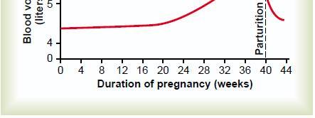 EFFECT OF PREGNANCY TO