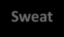 Functions of the skin: Warm conditions: Sweat is produced and
