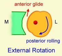 Shoulder External/ Internal Rotation transverse plane