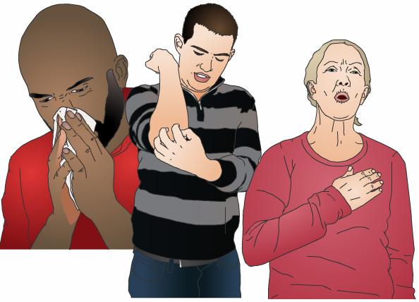 The release of histamine and other chemicals cause the symptoms of an allergic reaction, including: Runny nose. Sneezing. Itching. Swelling. Asthma.