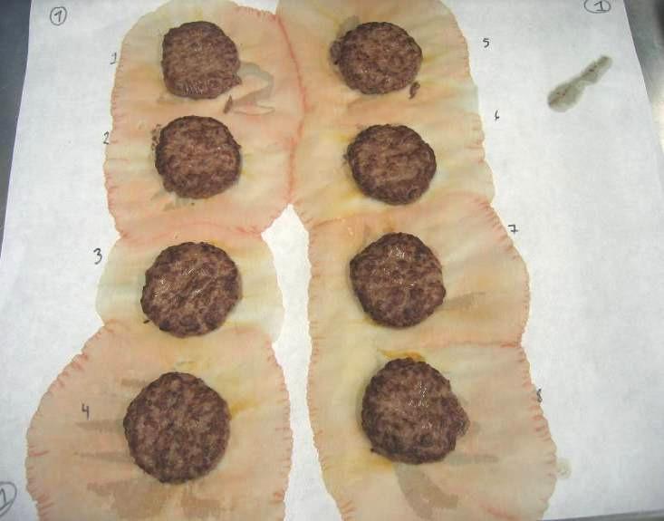 Functionality of fibre/hydrocolloid blend in burgers Control
