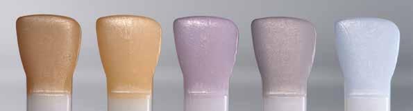 Blue, violet and grey are mainly used for the individualization of the incisal or occlusal areas. Orange and brown can be used for the characterization of fissures, cervical and interdental areas.