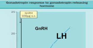 GnRH increases