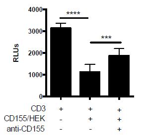 Figure 4. A CD155 human monoclonal antibody blocks TIGIT-CD155 mediated NFAT signal inhibition. CD155/HEK293 (BPS Cat.