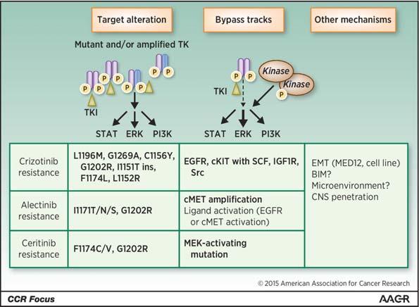 Mechanisms of acquired resistance to ALK inhibitor therapy Ryohei Katayama et al.