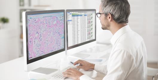 3D histology Partner with industry Computational Pathology