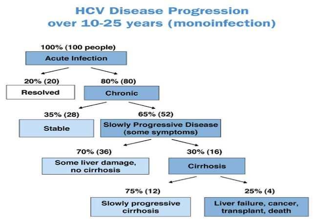 IFN-based treatment of pre and post transplant HCV infected pts Pre OLT antiviral Tx with P/R Viral clearance post OLT 20% TT post OLT 30-40% SVR Everson GT, et al Hepatology