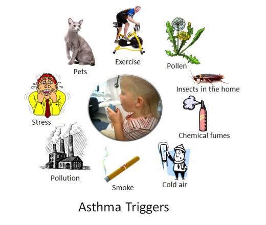 Asthma Self-Management Education Source: