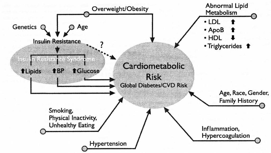 Factors Contributing to Cardiometabolic Risk
