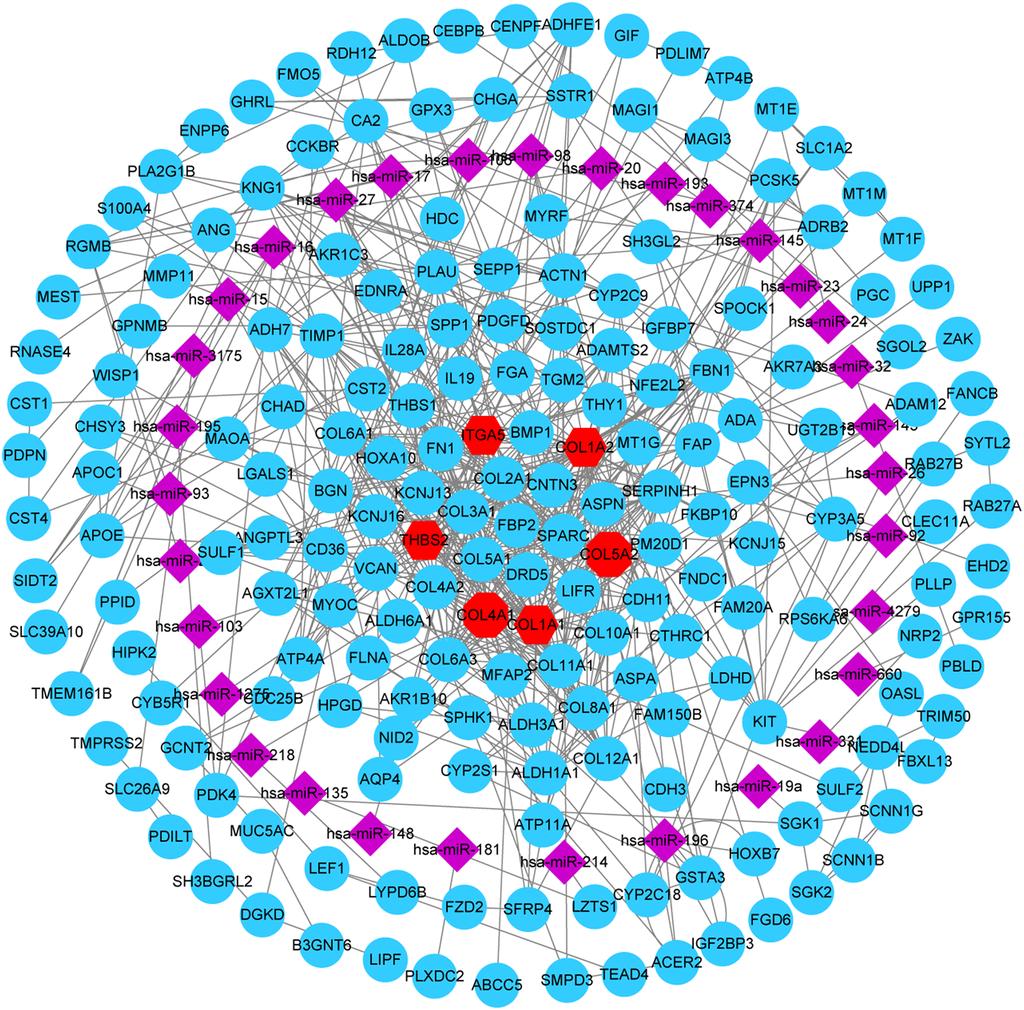 Figure 6 mirna-gene network. Regulation of six hub genes in mirna-gene network.