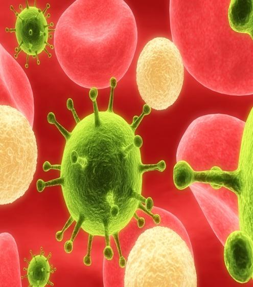 Human Immunodeficiency Virus (HIV) Human immunodeficiency virus (HIV) is a virus that: attacks the immune system a person can develop infections that a person with a healthy immune system would